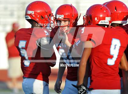 Thumbnail 1 in Hirschi @ Sanger photogallery.