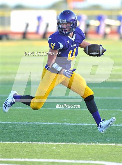 Thumbnail 1 in Hirschi @ Sanger photogallery.
