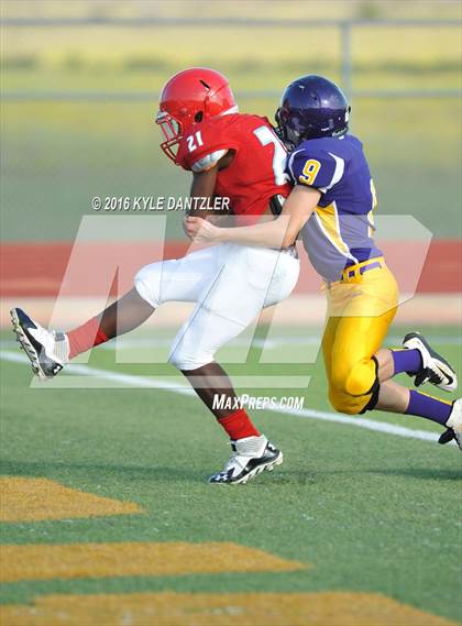 Thumbnail 1 in Hirschi @ Sanger photogallery.