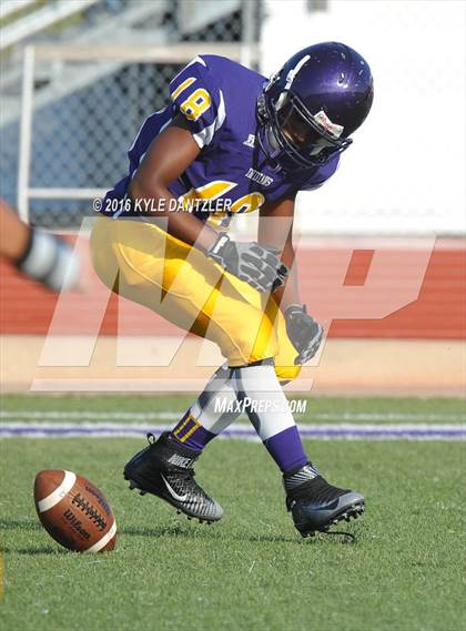 Thumbnail 2 in Hirschi @ Sanger photogallery.
