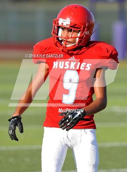 Thumbnail 1 in Hirschi @ Sanger photogallery.