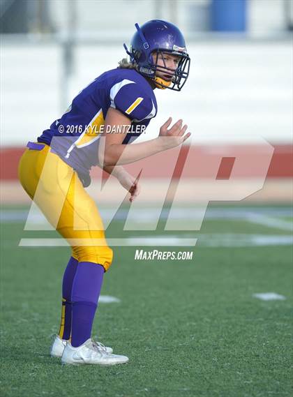 Thumbnail 1 in Hirschi @ Sanger photogallery.