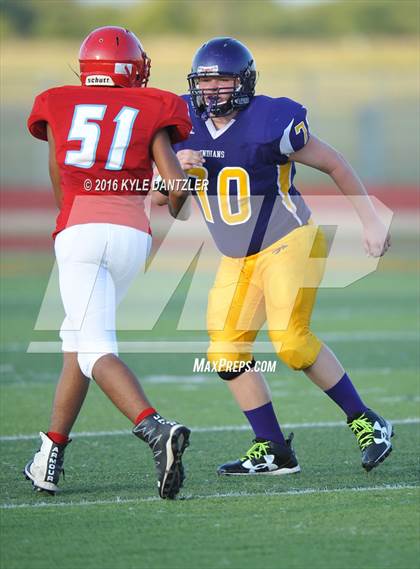 Thumbnail 3 in Hirschi @ Sanger photogallery.