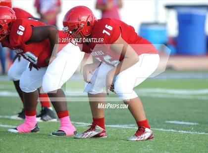 Thumbnail 1 in Hirschi @ Sanger photogallery.
