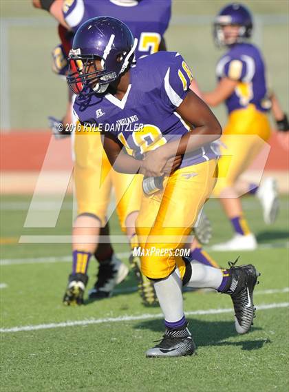 Thumbnail 2 in Hirschi @ Sanger photogallery.