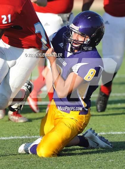 Thumbnail 2 in Hirschi @ Sanger photogallery.