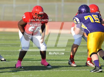 Thumbnail 1 in Hirschi @ Sanger photogallery.