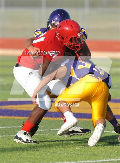 Thumbnail 1 in Hirschi @ Sanger photogallery.