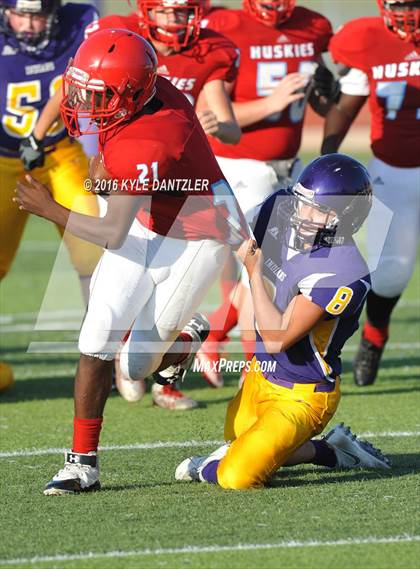 Thumbnail 1 in Hirschi @ Sanger photogallery.