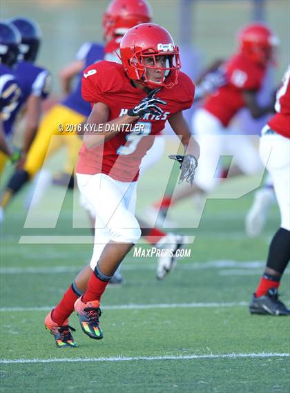 Thumbnail 3 in Hirschi @ Sanger photogallery.