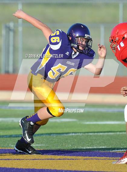 Thumbnail 1 in Hirschi @ Sanger photogallery.