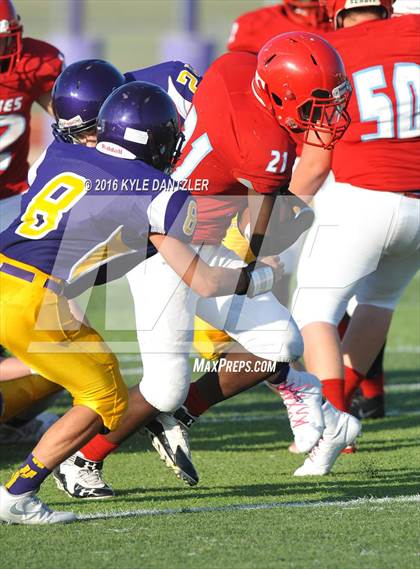 Thumbnail 3 in Hirschi @ Sanger photogallery.