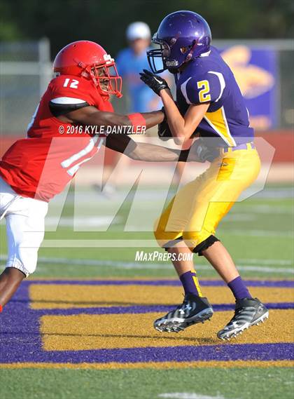 Thumbnail 2 in Hirschi @ Sanger photogallery.