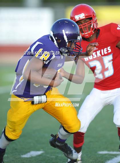 Thumbnail 2 in Hirschi @ Sanger photogallery.