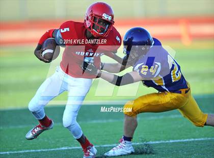 Thumbnail 1 in Hirschi @ Sanger photogallery.