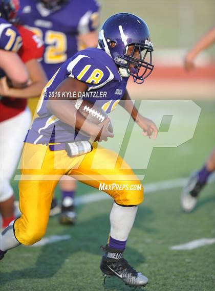 Thumbnail 1 in Hirschi @ Sanger photogallery.