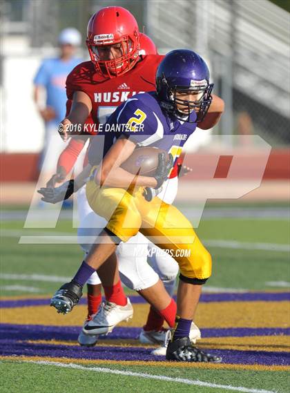 Thumbnail 2 in Hirschi @ Sanger photogallery.