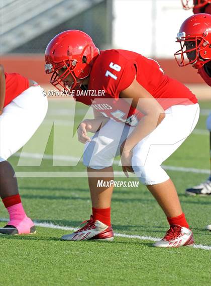 Thumbnail 1 in Hirschi @ Sanger photogallery.