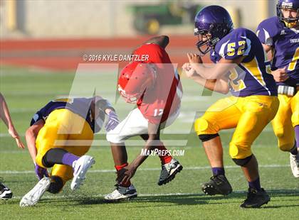 Thumbnail 3 in Hirschi @ Sanger photogallery.