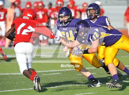 Thumbnail 1 in Hirschi @ Sanger photogallery.