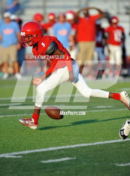 Thumbnail 2 in Hirschi @ Sanger photogallery.