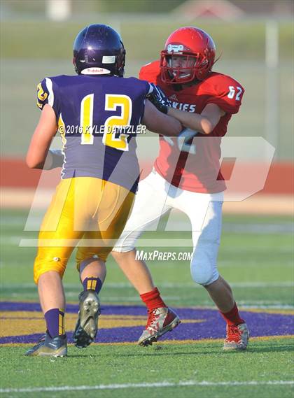Thumbnail 1 in Hirschi @ Sanger photogallery.