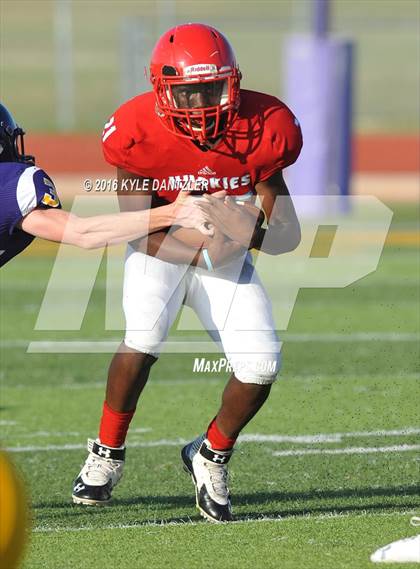 Thumbnail 1 in Hirschi @ Sanger photogallery.