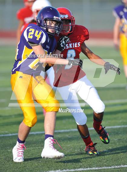 Thumbnail 1 in Hirschi @ Sanger photogallery.