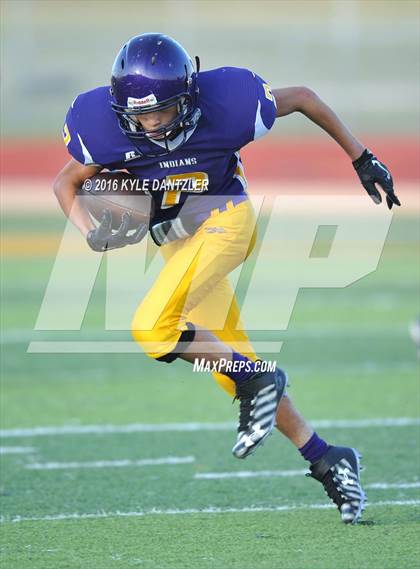 Thumbnail 1 in Hirschi @ Sanger photogallery.