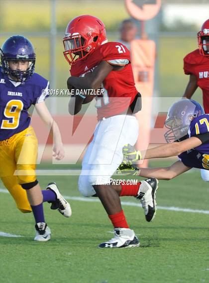 Thumbnail 1 in Hirschi @ Sanger photogallery.