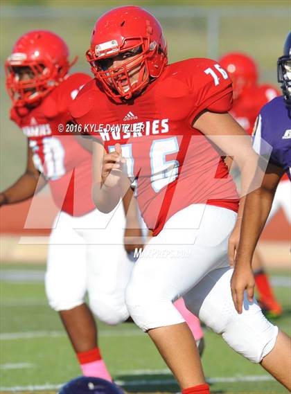 Thumbnail 1 in Hirschi @ Sanger photogallery.