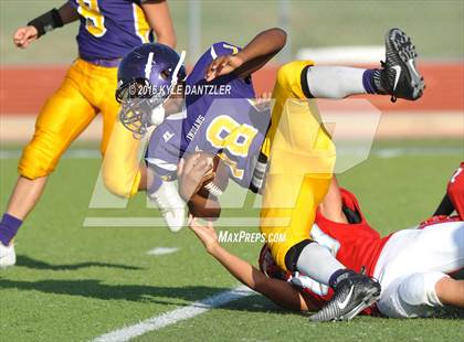 Thumbnail 1 in Hirschi @ Sanger photogallery.