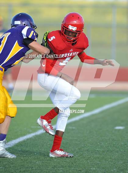 Thumbnail 1 in Hirschi @ Sanger photogallery.