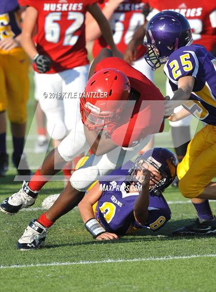Thumbnail 1 in Hirschi @ Sanger photogallery.