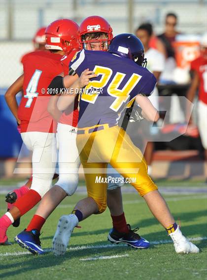 Thumbnail 1 in Hirschi @ Sanger photogallery.