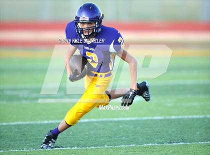 Thumbnail 2 in Hirschi @ Sanger photogallery.