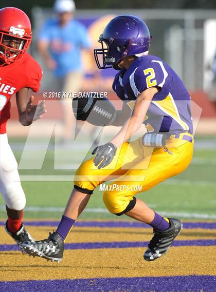 Thumbnail 3 in Hirschi @ Sanger photogallery.
