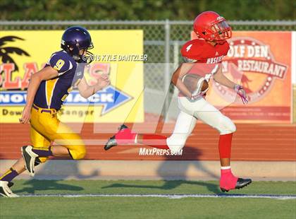 Thumbnail 1 in Hirschi @ Sanger photogallery.