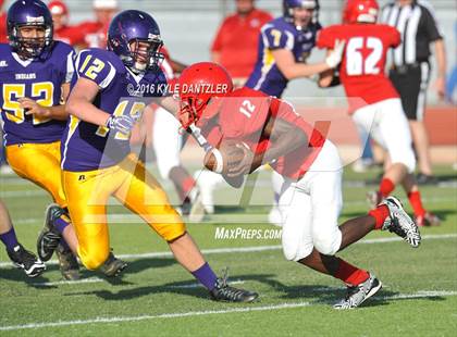 Thumbnail 1 in Hirschi @ Sanger photogallery.