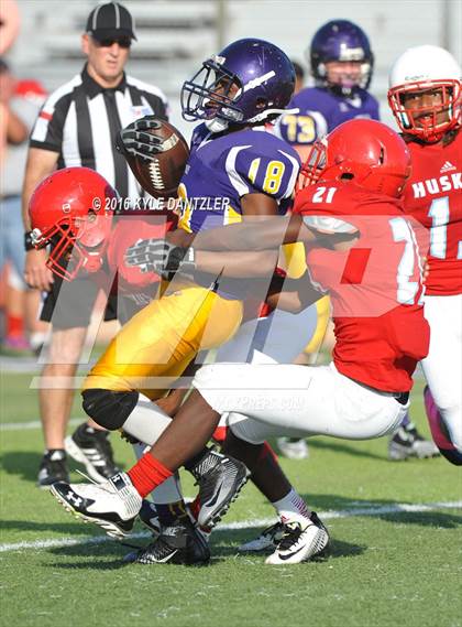 Thumbnail 3 in Hirschi @ Sanger photogallery.