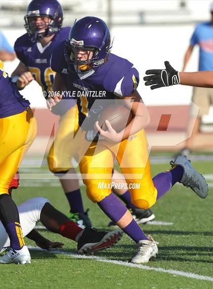 Thumbnail 1 in Hirschi @ Sanger photogallery.