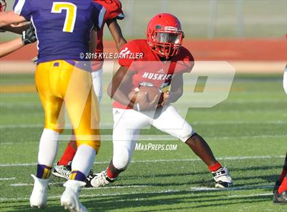 Thumbnail 2 in Hirschi @ Sanger photogallery.