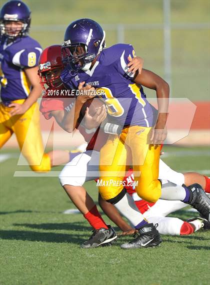 Thumbnail 1 in Hirschi @ Sanger photogallery.