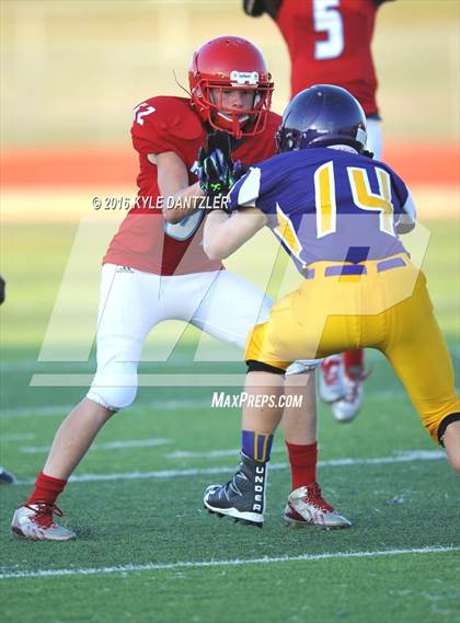 Thumbnail 1 in Hirschi @ Sanger photogallery.