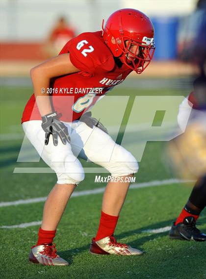 Thumbnail 1 in Hirschi @ Sanger photogallery.
