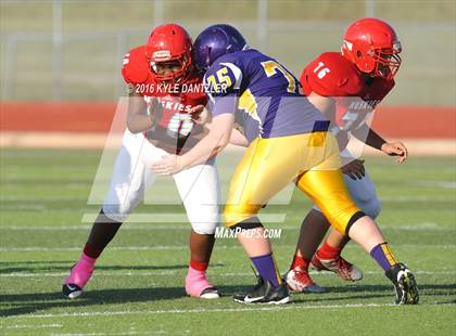 Thumbnail 3 in Hirschi @ Sanger photogallery.