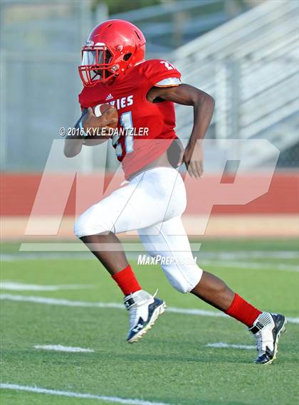 Thumbnail 1 in Hirschi @ Sanger photogallery.