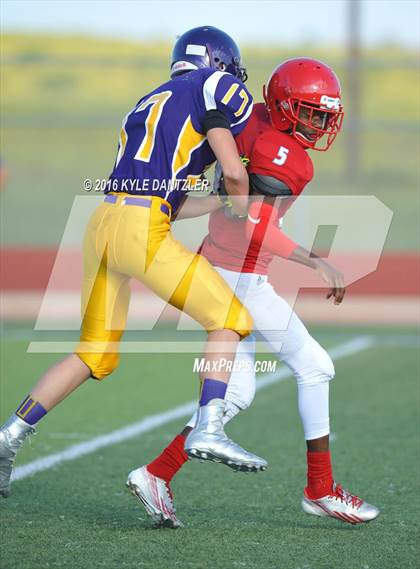 Thumbnail 2 in Hirschi @ Sanger photogallery.