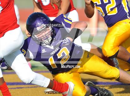 Thumbnail 3 in Hirschi @ Sanger photogallery.