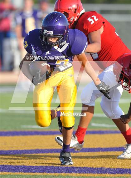 Thumbnail 1 in Hirschi @ Sanger photogallery.